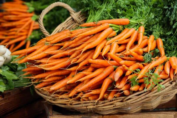 Organic Carrots